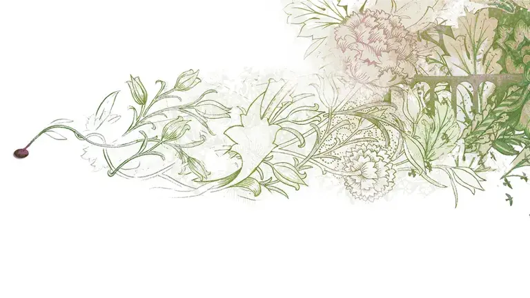 Filigrane, abstrakte Blumenzeichnung in Grün- und Rosatönen, die sich über die Breite des Bildes erstreckt.